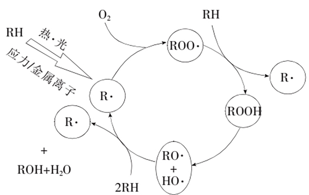 聚合物老化時的自由基鏈反應